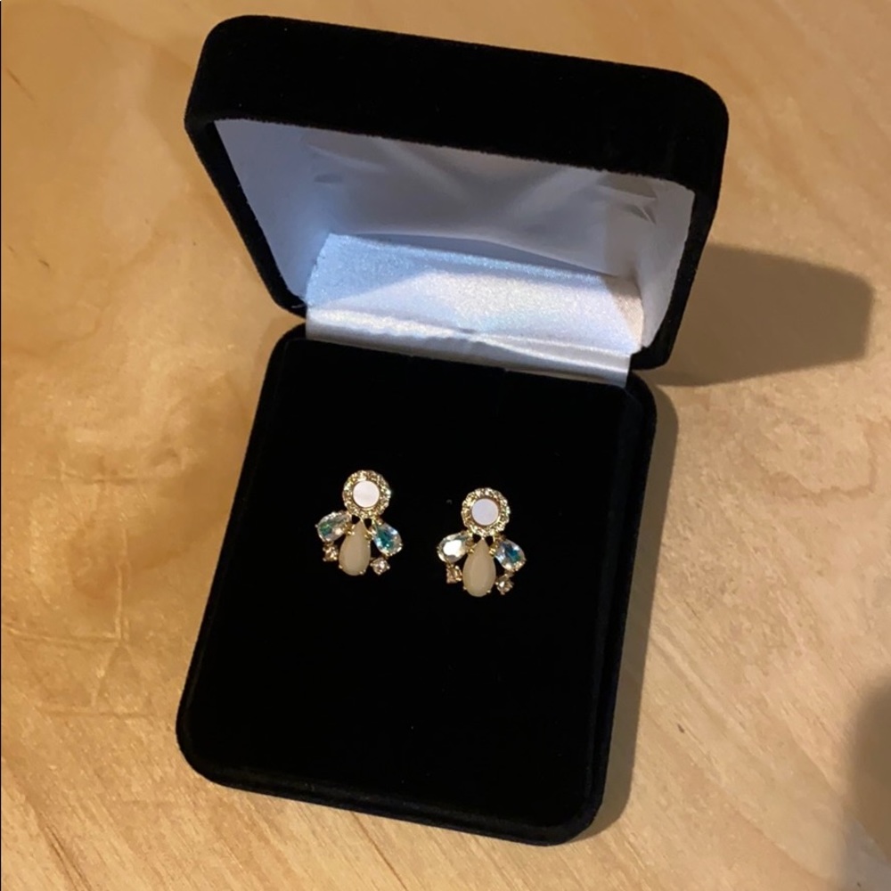 Fashion earnings